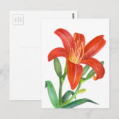 Oranje Lily Botanische illustratie Briefkaart (Voorkant / Achterkant)