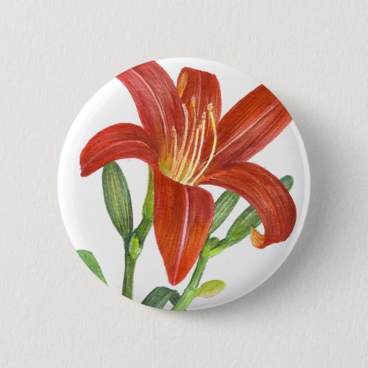 Oranje Lily Botanische illustratie Ronde Button 5,7 Cm (Voorkant)