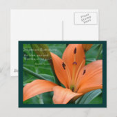Oranje Lily Briefkaart (Voorkant / Achterkant)