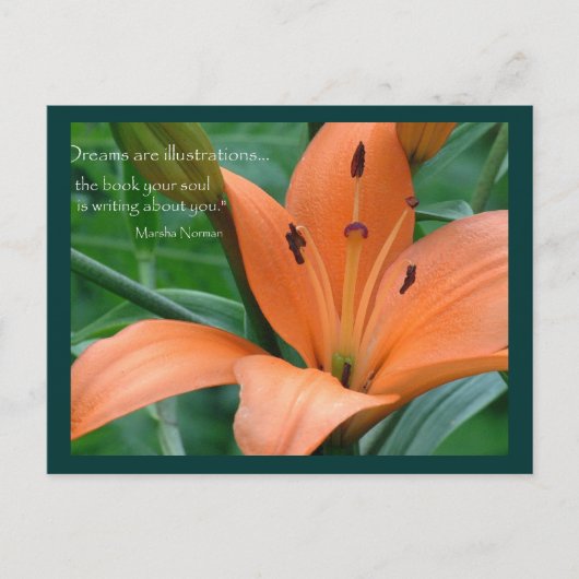 Oranje Lily Briefkaart (Voorkant)