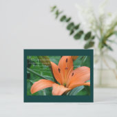 Oranje Lily Briefkaart (Staand voorkant)