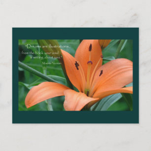 Oranje Lily Briefkaart