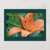 Oranje Lily Briefkaart (Voorkant)