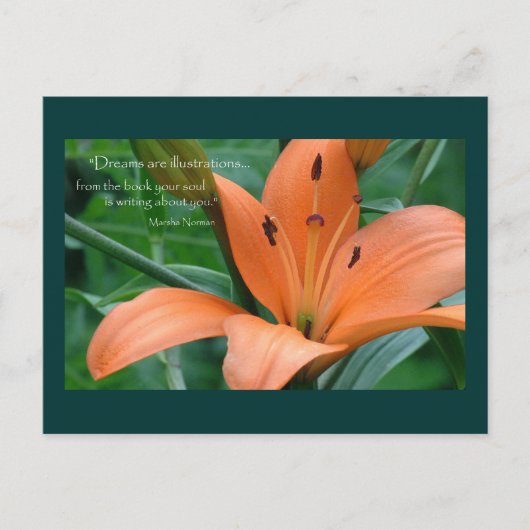 Oranje Lily Briefkaart (Voorkant)