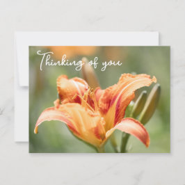 Oranje Lily denkt aan jou Briefkaart