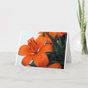 Oranje LIly Feestdagen Kaart