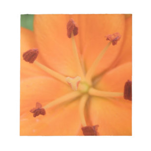 Oranje Lily Floral-laptop Notitieblok