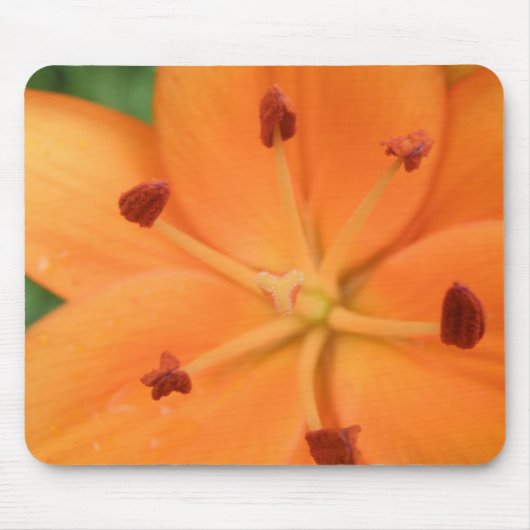 Oranje Lily Floral Mousepad Muismat (Voorkant)