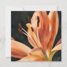 Oranje Lily Flower Art Flat Note Kaart