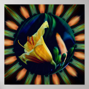 Oranje Lily Flower Floral Abstract Art Poster
