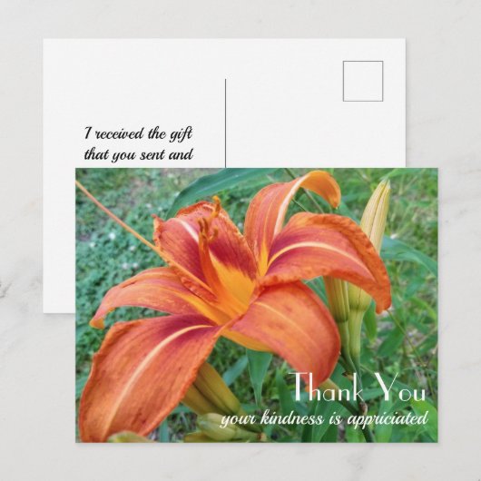 Oranje Lily Flower Gift Bedankt Briefkaart (Voorkant / Achterkant)