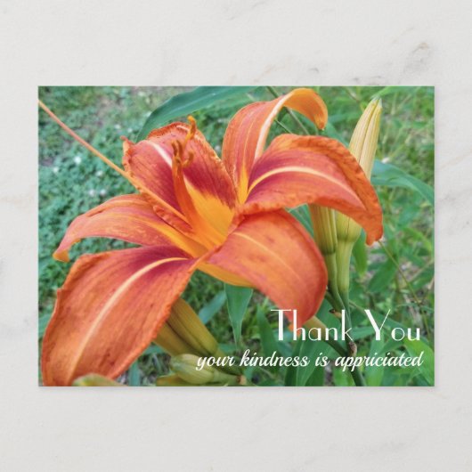 Oranje Lily Flower Gift Bedankt Briefkaart (Voorkant)