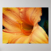 Oranje Lily Flower Sluiten Poster (Voorkant)