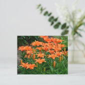 Oranje Lily Flowers Briefkaart (Staand voorkant)