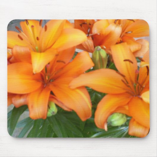 Oranje Lily Flowers Muismat (Voorkant)