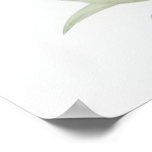 Oranje Lily Flowers Poster (Hoek)