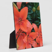 Oranje Lily Fotoplaat (Zijkant)