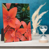 Oranje Lily Fotoplaat (Zijkant)