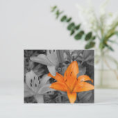 Oranje Lily Hand-Colored Briefkaart (Staand voorkant)