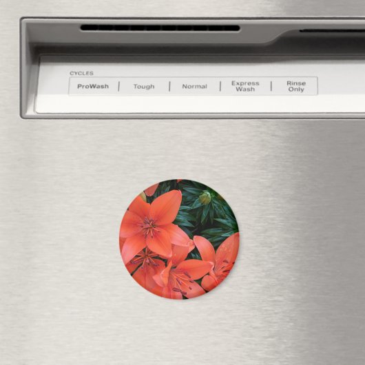 Oranje Lily Magneet (Insitu (Vaatwasser))