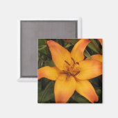 Oranje Lily Magneet (Voorkant / Achterkant)