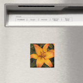 Oranje Lily Magneet (Insitu (Vaatwasser))