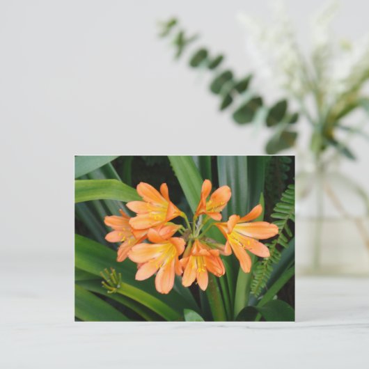 Oranje Lily met Multiple Blooms Briefkaart (Staand voorkant)