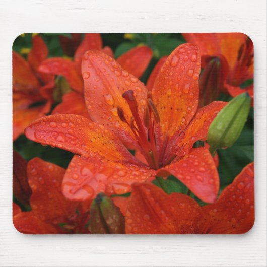 Oranje Lily Mousepad Muismat (Voorkant)