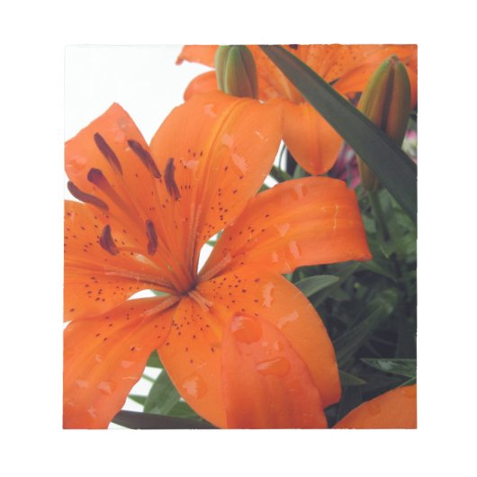 Oranje LIly Notitieblok (Voorkant)