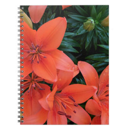 Oranje Lily Notitieboek