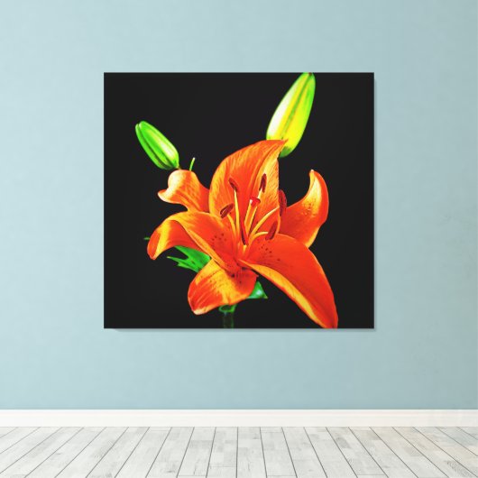 Oranje Lily op zwart Canvas Afdruk (Insitu (Houten vloer))