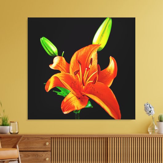 Oranje Lily op zwart Canvas Afdruk (Insitu (Woonkamer))