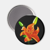 Oranje Lily op zwart Magneet (Voorkant / Achterkant)