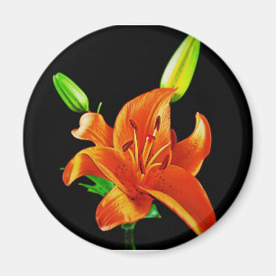 Oranje Lily op zwart Magneet