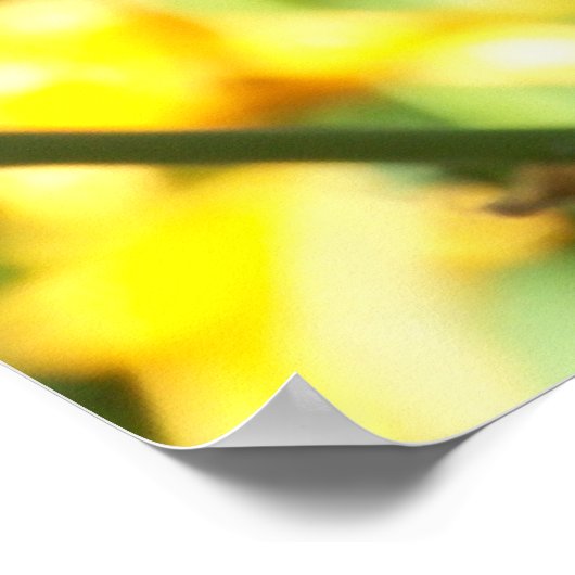 Oranje Lily Poster (Hoek)