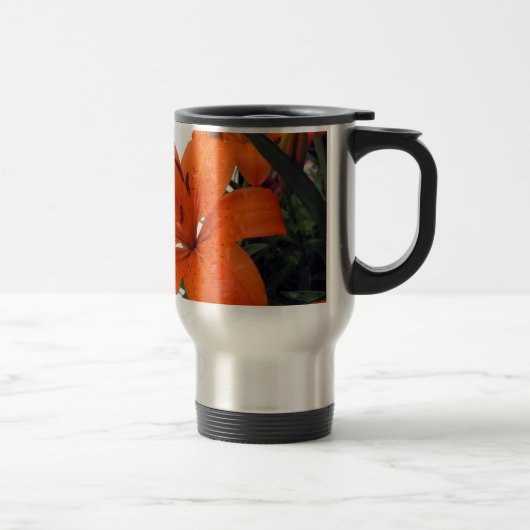 Oranje LIly Reisbeker (Rechts)