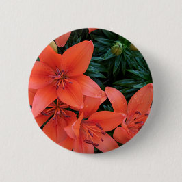 Oranje Lily Ronde Button 5,7 Cm
