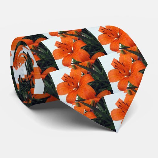 Oranje LIly Stropdas (Opgerold)