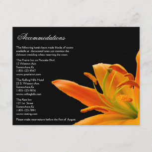 Oranje Lily Wedding Accommodatie-kaarten Informatiekaartje