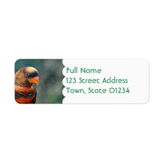 Oranje Loriket Mailing Labels (Voorkant)