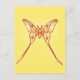 Oranje Luna Moth Art – Kleurrijk Insect Briefkaart