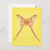 Oranje Luna Moth Art – Kleurrijk Insect Briefkaart (Voorkant / Achterkant)