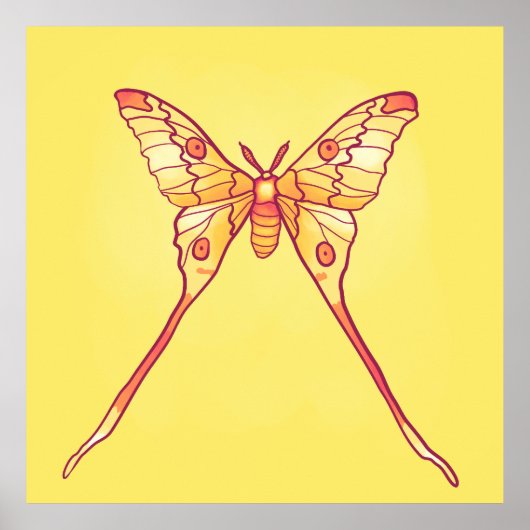 Oranje Luna Moth Art – Kleurrijk Insect Poster (Voorkant)