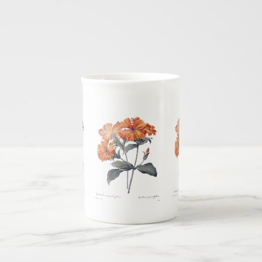 Oranje Lychnis Redoute Porselein Kop (Voorkant)