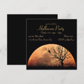 Oranje maan, zwarte kat kaart (Voorkant / Achterkant)