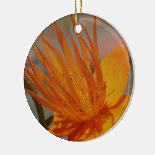 Oranje Macro Flower Ornament (Links)