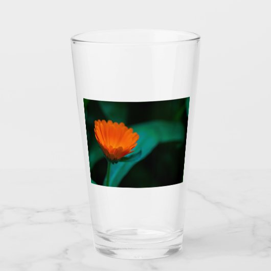 Oranje madeliefbloem glas (Voorkant)