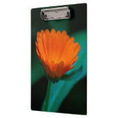 Oranje madeliefbloem klembord (Links)