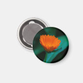 Oranje madeliefbloem magneet (Voorkant / Achterkant)