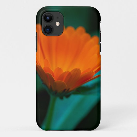 Oranje madeliefje bloem Case-Mate iPhone case (Achterkant)